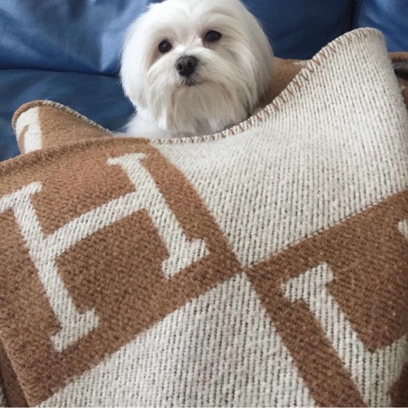 H Throw Blanket4colors